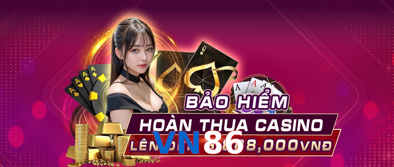 VN86